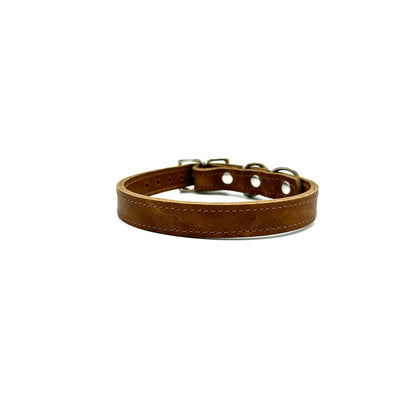 Classic American Bison Leather Dog Collar