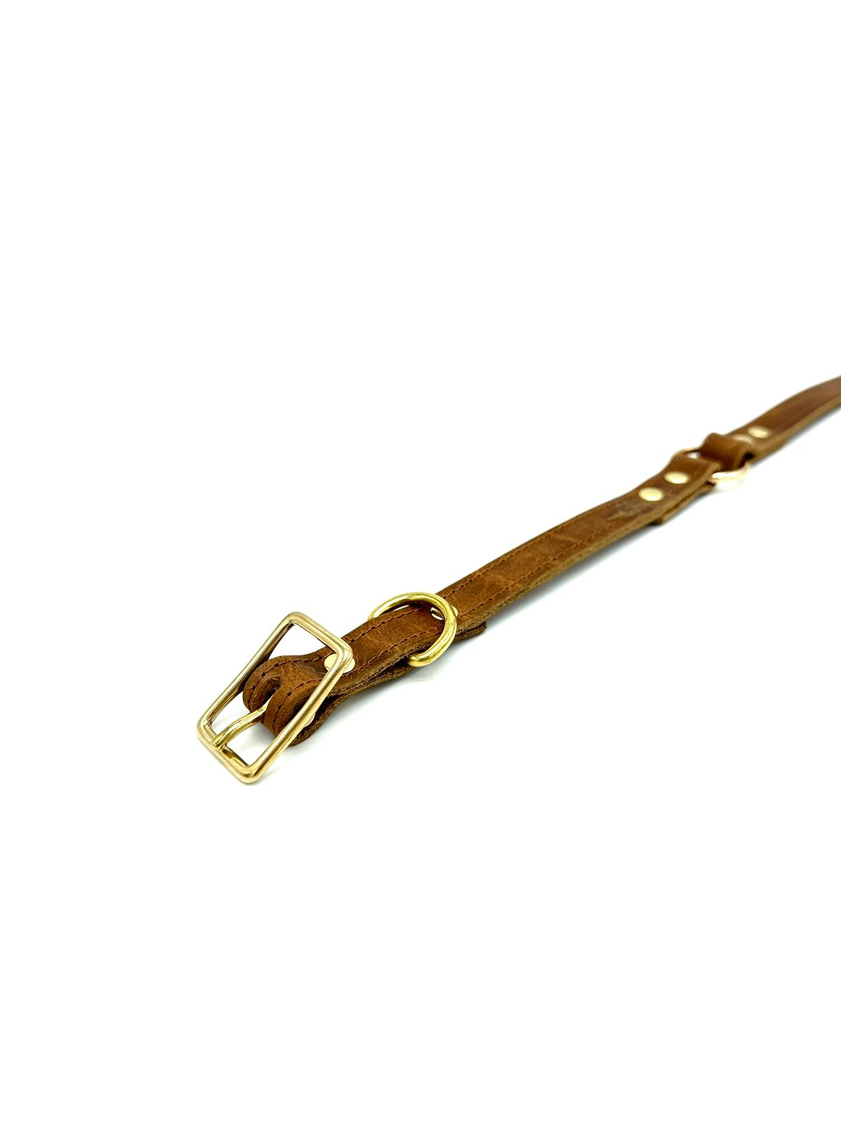 American Bison Leather O-Ring Dog Collar
