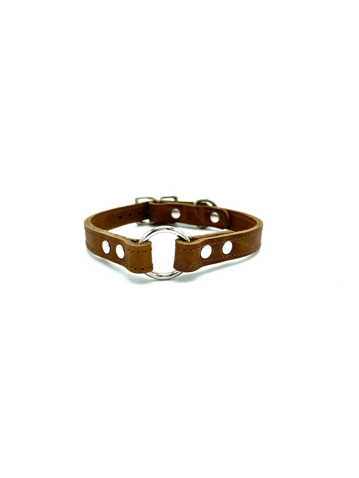 American Bison Leather O-Ring Dog Collar