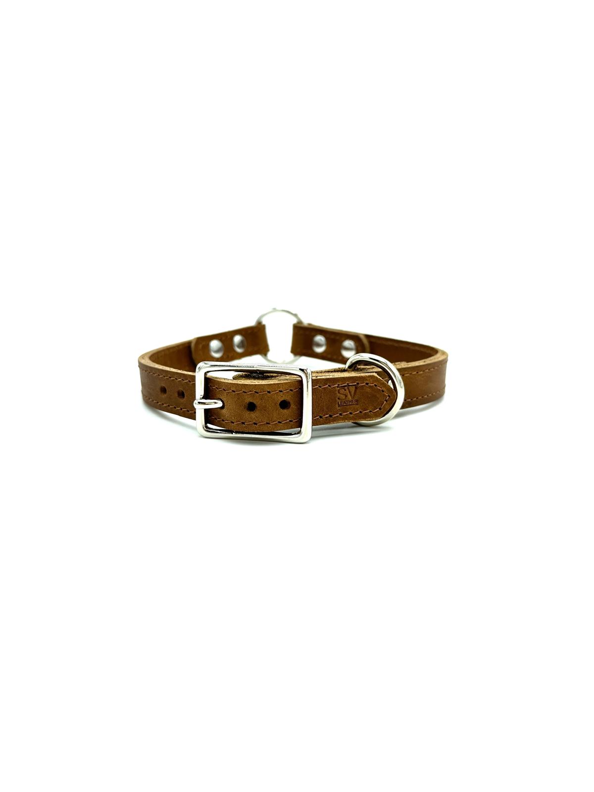American Bison Leather O-Ring Dog Collar