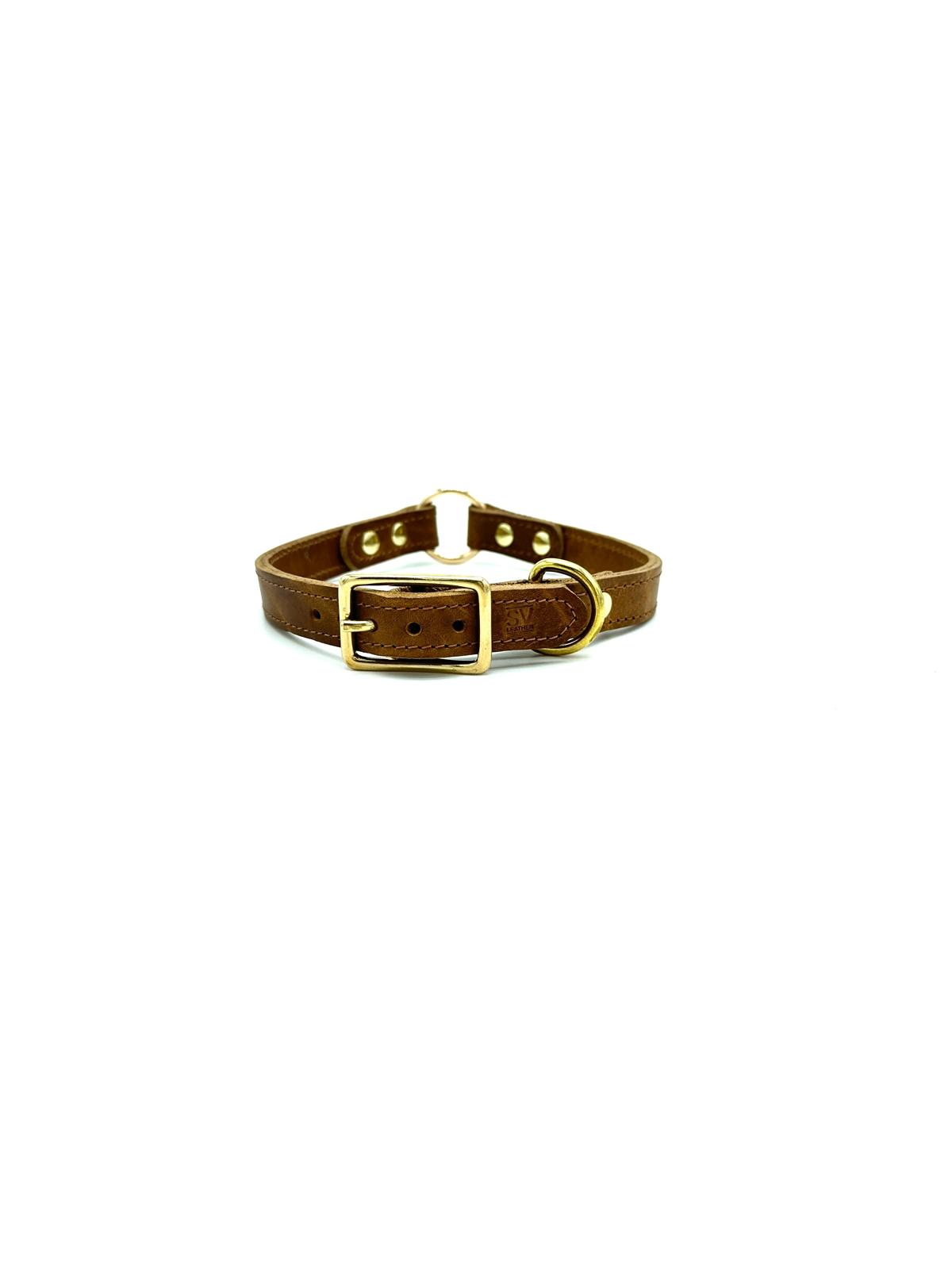 American Bison Leather O-Ring Dog Collar