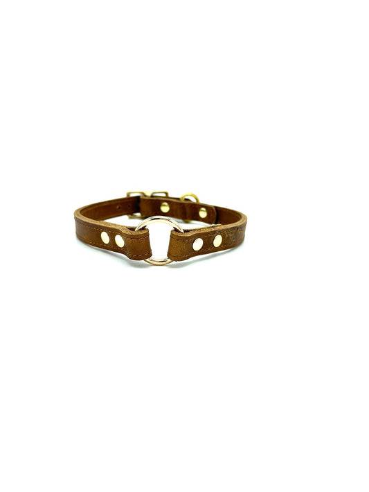 American Bison Leather O-Ring Dog Collar