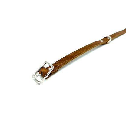 American Bison Leather D-Ring Dog Collar