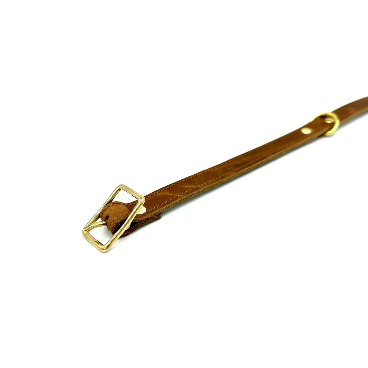 American Bison Leather D-Ring Dog Collar