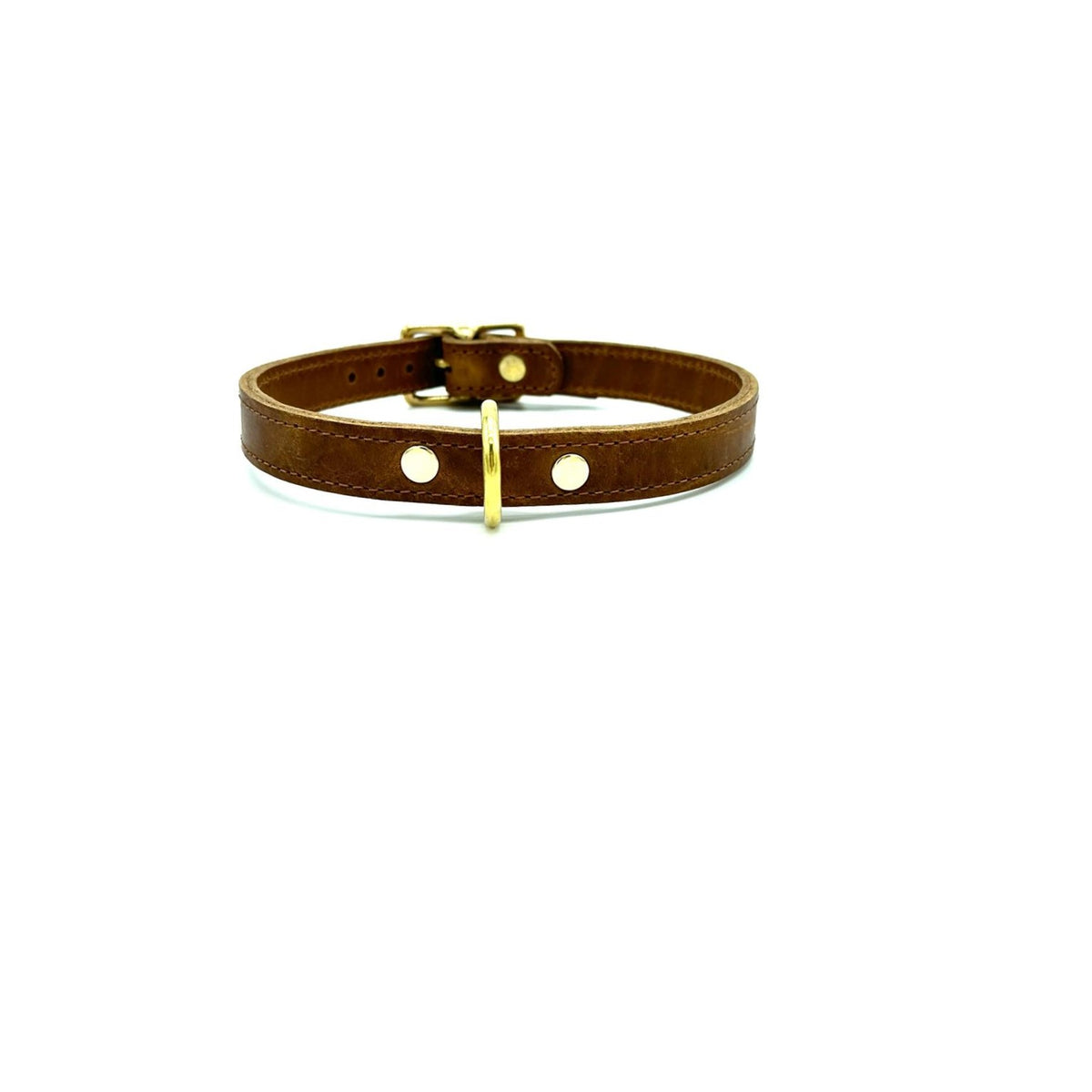 American Bison Leather D-Ring Dog Collar