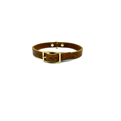 American Bison Leather D-Ring Dog Collar