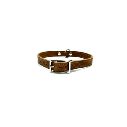 American Bison Leather D-Ring Dog Collar