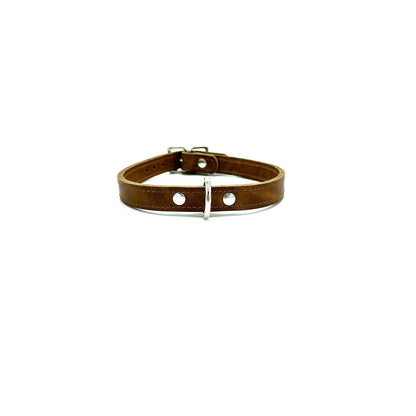 American Bison Leather D-Ring Dog Collar