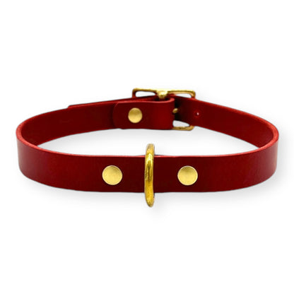 Italian Leather D-Ring Dog Collar